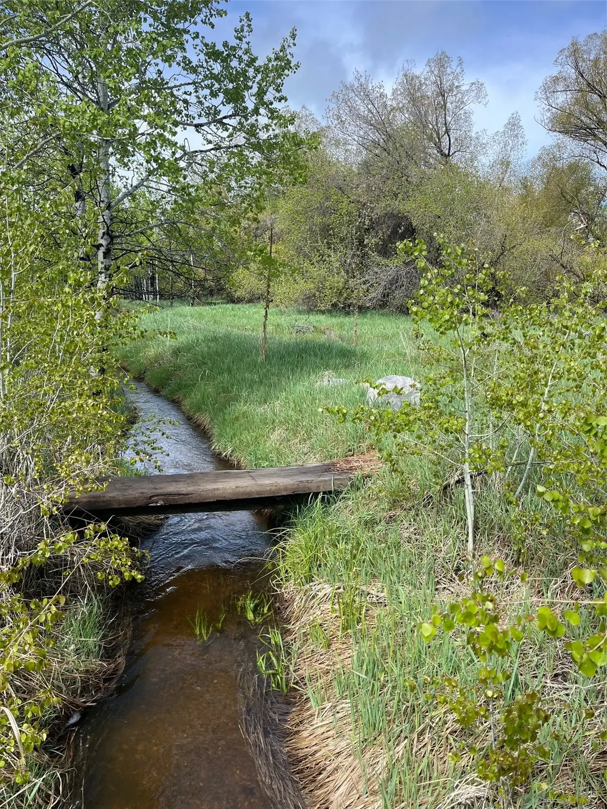 28040 County Road 64, Clark, CO 80428 - #1