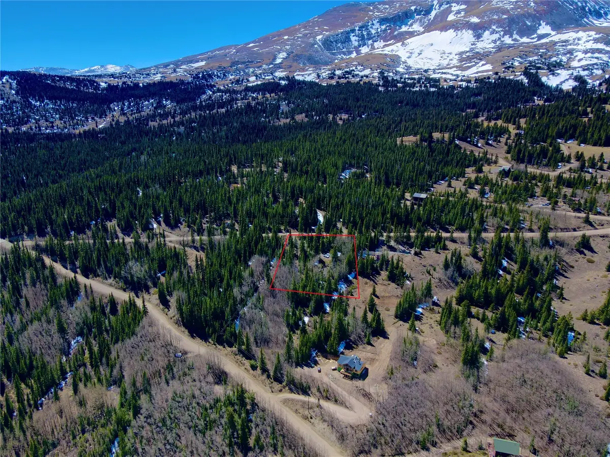 1221 Roberts Road, Alma, CO 80420 - #1