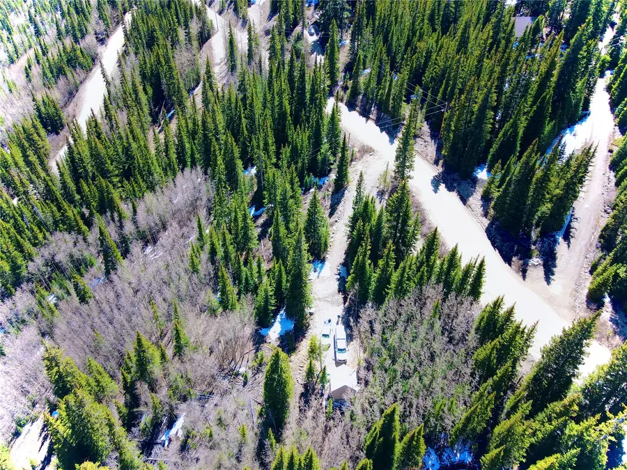 1221 Roberts Road, Alma, CO 80420 - #2