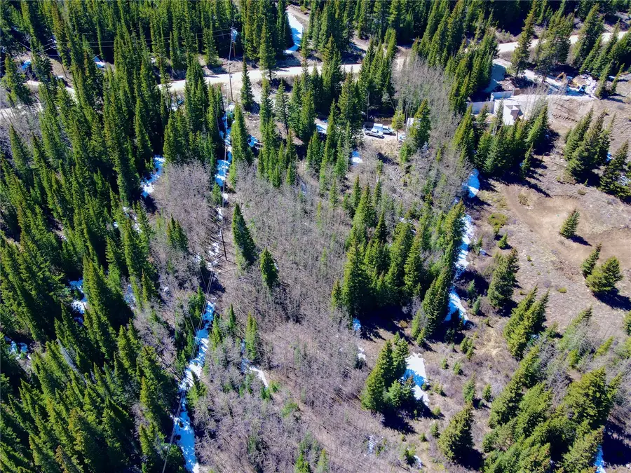 1221 Roberts Road, Alma, CO 80420 - #3