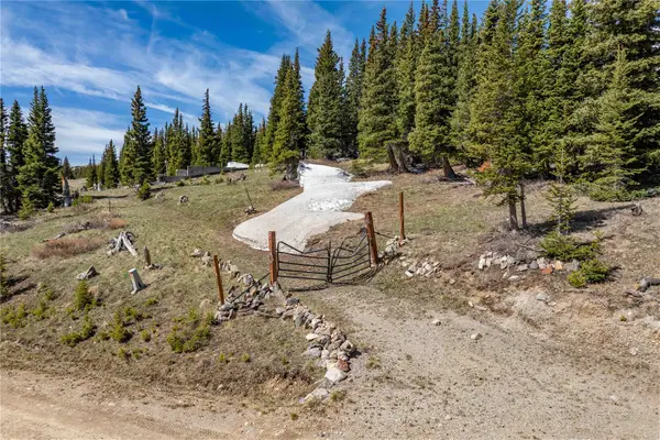 392 Pyrite Place, Alma, CO 80440