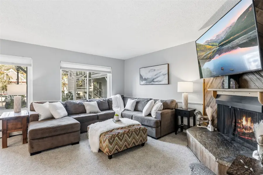 412 S Main Street #111, Breckenridge, CO 80424 - #3