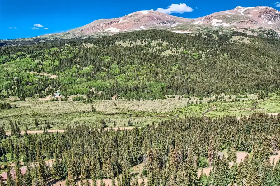 553 Nuthatch Drive, Alma, CO 80440 - #2