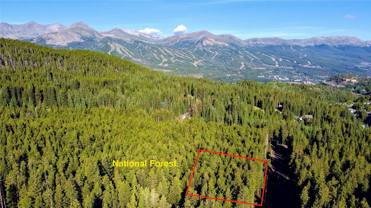 0064 Cr 534, Breckenridge, CO 80424 - #1