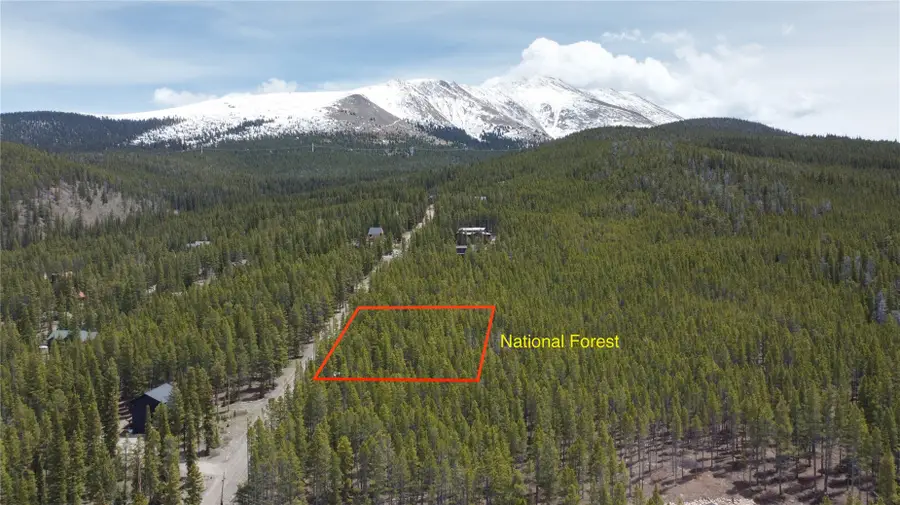 0064 Cr 534, Breckenridge, CO 80424 - #2