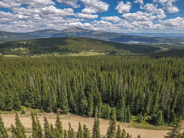 726 Prunes Place, Fairplay, CO 80440