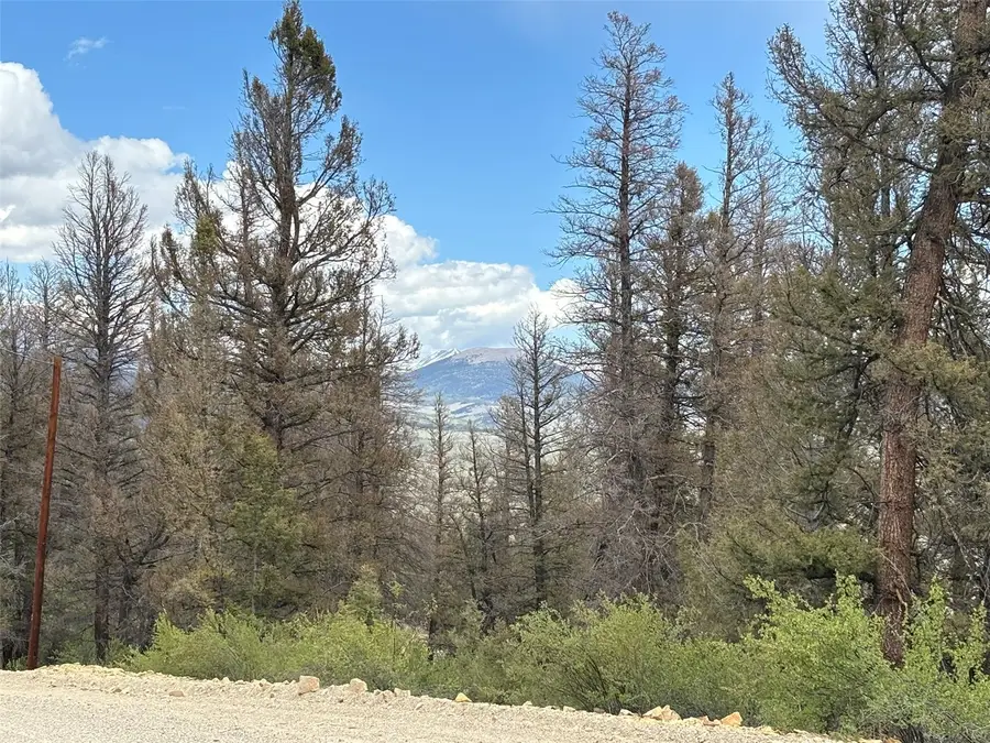 225 Trout Creek Lane, Fairplay, CO 80440 - #3