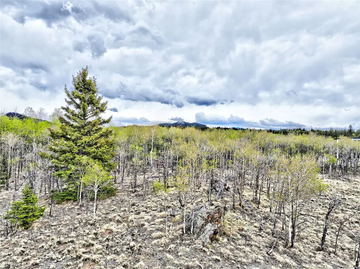71 Mallard Road, Como, CO 80432 - #1