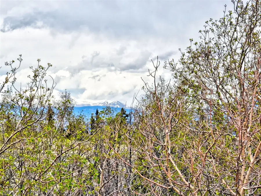 71 Mallard Road, Como, CO 80432 - #3