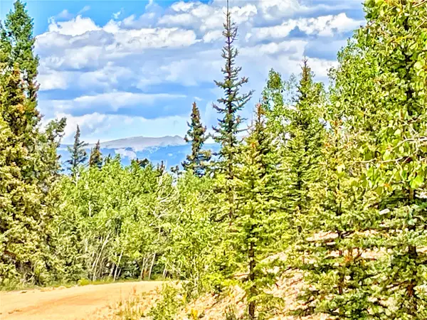 224 Apache Trail, Como, CO 80432