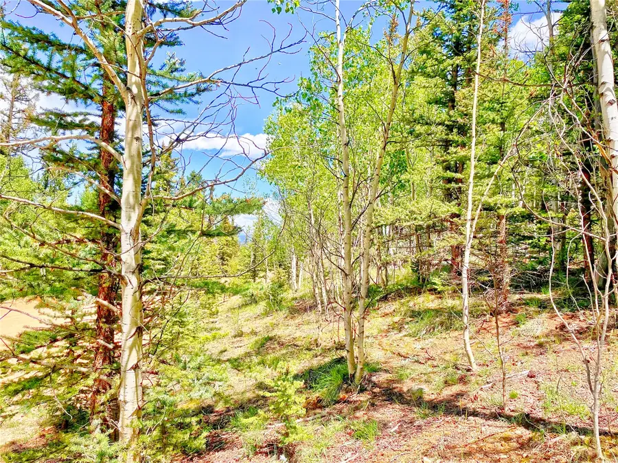 224 Apache Trail, Como, CO 80432 - #2