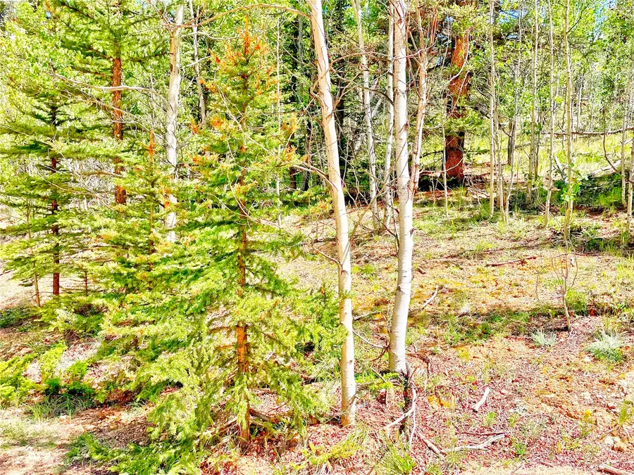 224 Apache Trail, Como, CO 80432 - #3