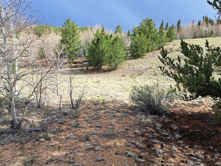 1411 Travois Road, Como, CO 80432 - #2