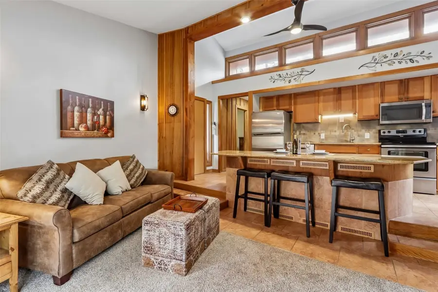 1080 Ski Hill Road #9, Breckenridge, CO 80424 - #2