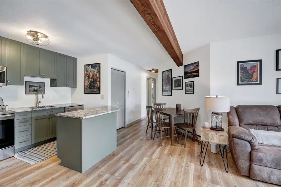 532 Center Circle #523, Silverthorne, CO 80498 - #2