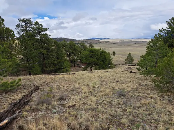 783 Remuda, Hartsel, CO 80449