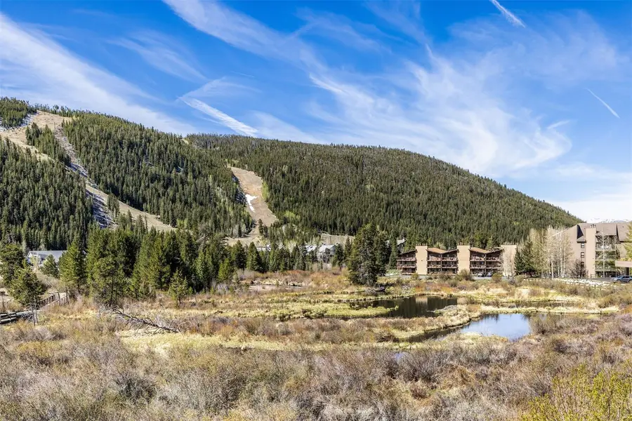 60 Oro Grande Drive #204, Keystone, CO 80435 - #2