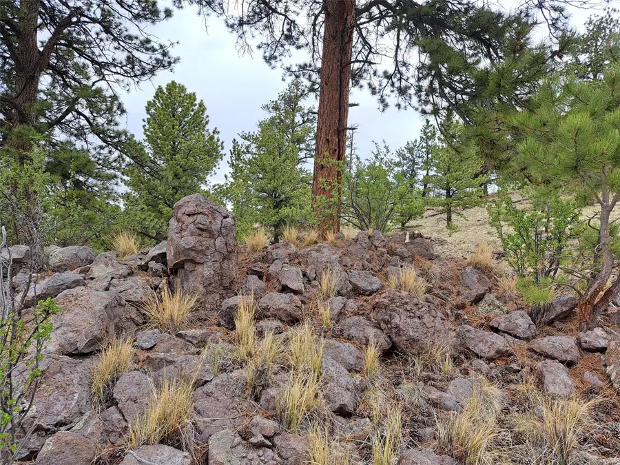 ` Dog Soldier Trail, Hartsel, CO 80449 - #2