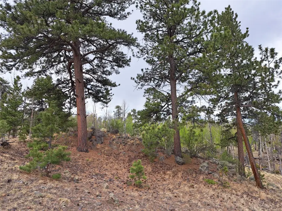 ` Dog Soldier Trail, Hartsel, CO 80449 - #3