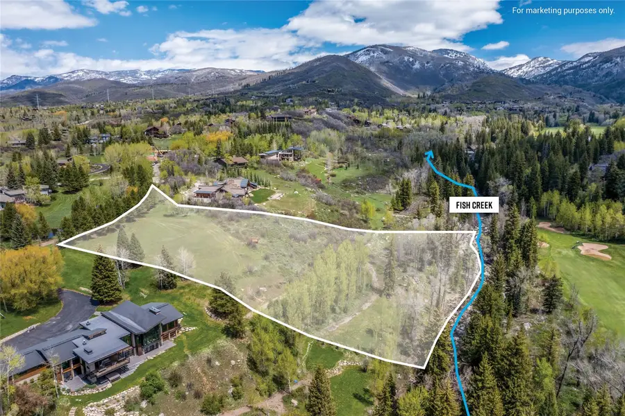 769 Anglers Pond, Steamboat Springs, CO 80487 - #2