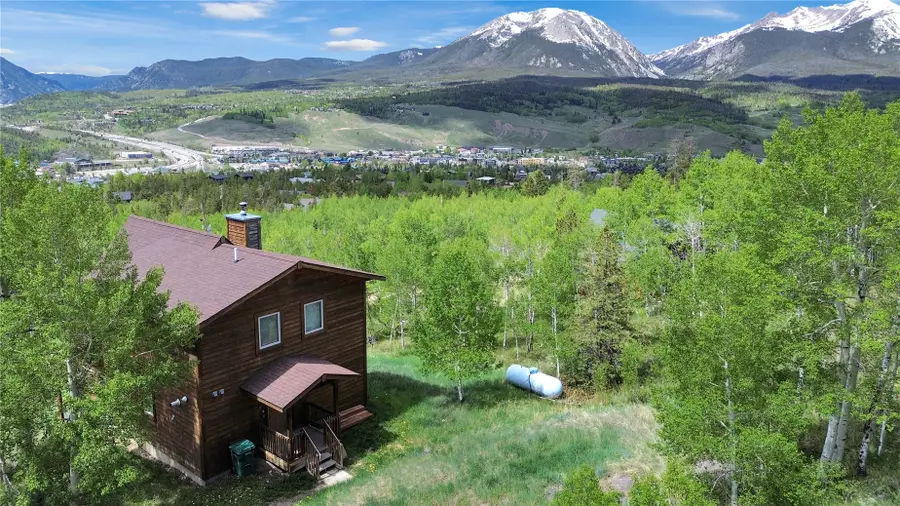 419 D Road, Silverthorne, CO 80498 - #2