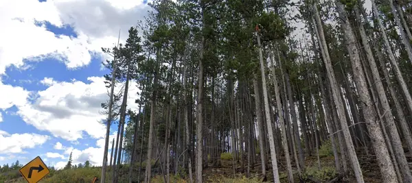 193 Blue Ridge Road, Breckenridge, CO 80424