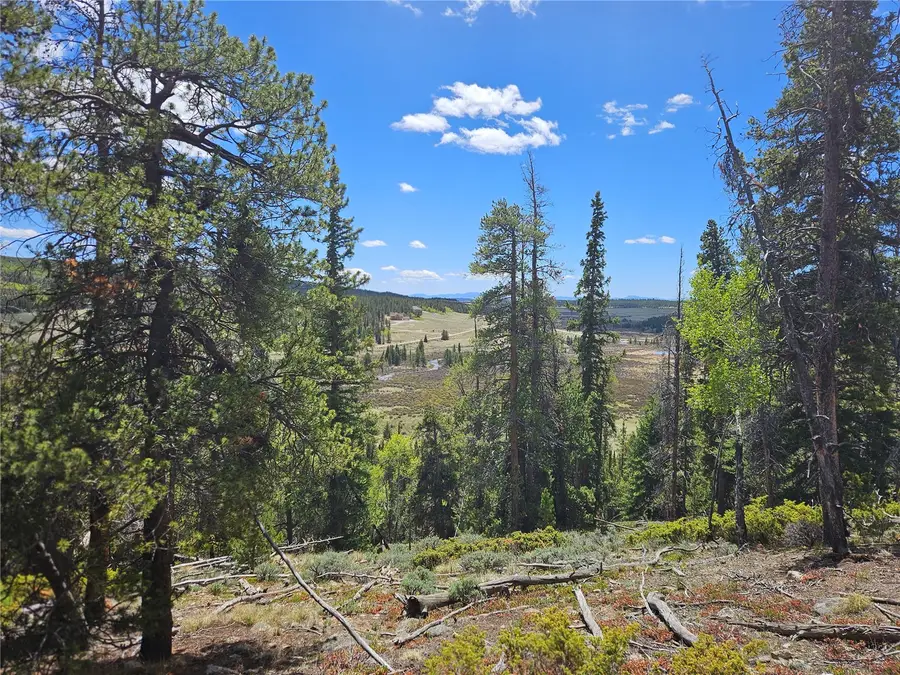 PCS#10594 Looney Lane, Alma, CO 80420 - #2