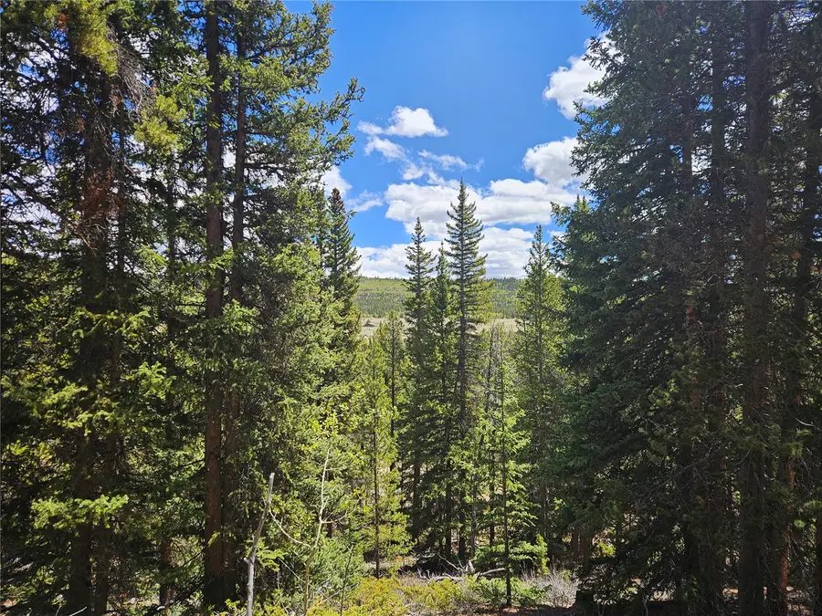 PCS#10594 Looney Lane, Alma, CO 80420 - #3