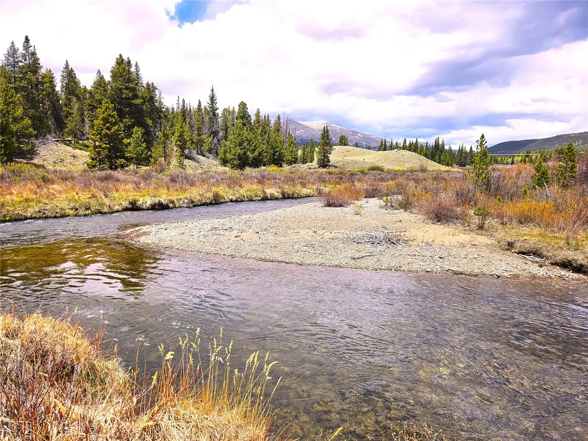 700 Looney Lane, Alma, CO 80420 - #1