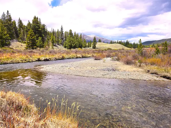 700 Looney Lane, Alma, CO 80420