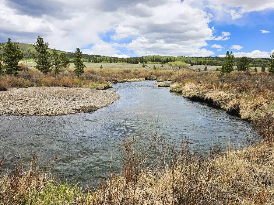 700 Looney Lane, Alma, CO 80420 - #3
