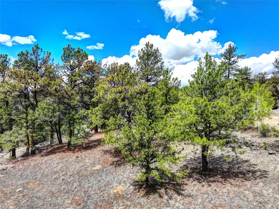 00 York Court, Jefferson, CO 80456 - #2