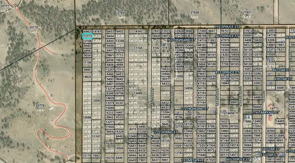 000 Hemlock Street, Hartsel, CO 80449 - #1