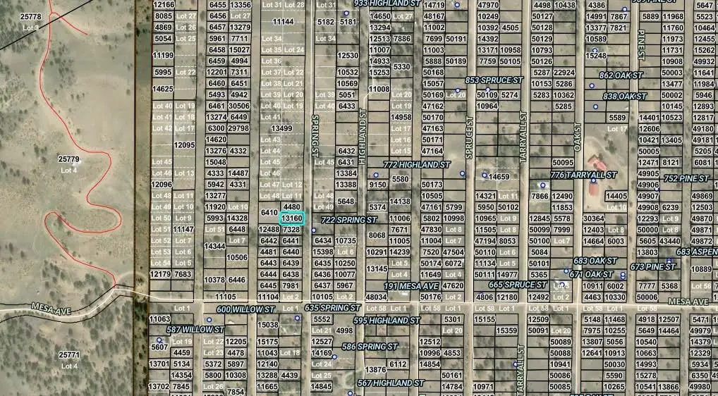 0 Spring Street, Hartsel, CO 80449 - #1