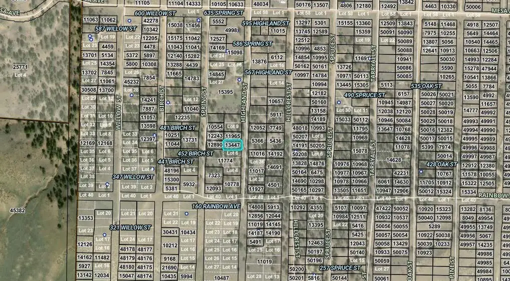 00000 Highland Street, Hartsel, CO 80449 - #1