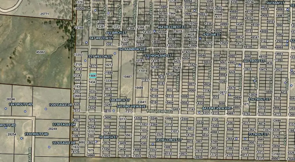 00001 Willow Street, Hartsel, CO 80449 - #1