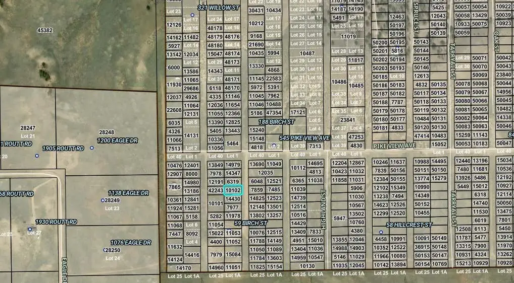 00002 Willow Street, Hartsel, CO 80449 - #1