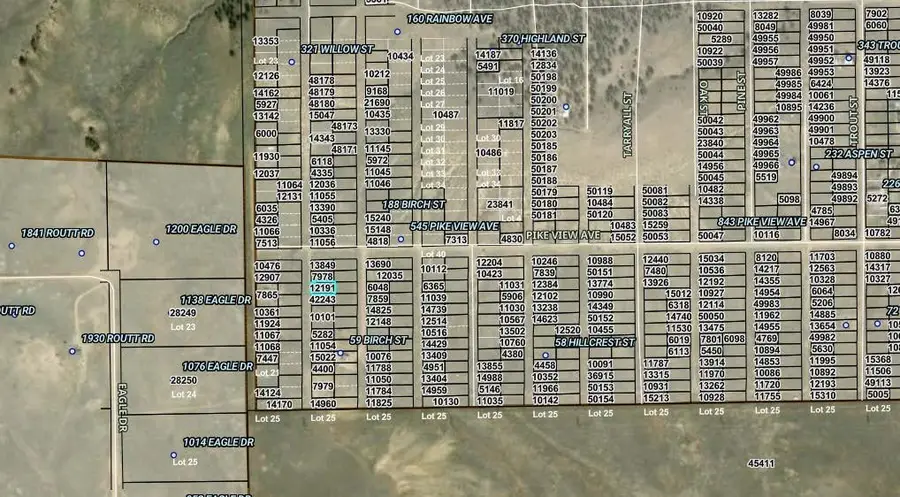 00002 Willow Street, Hartsel, CO 80449 - #2
