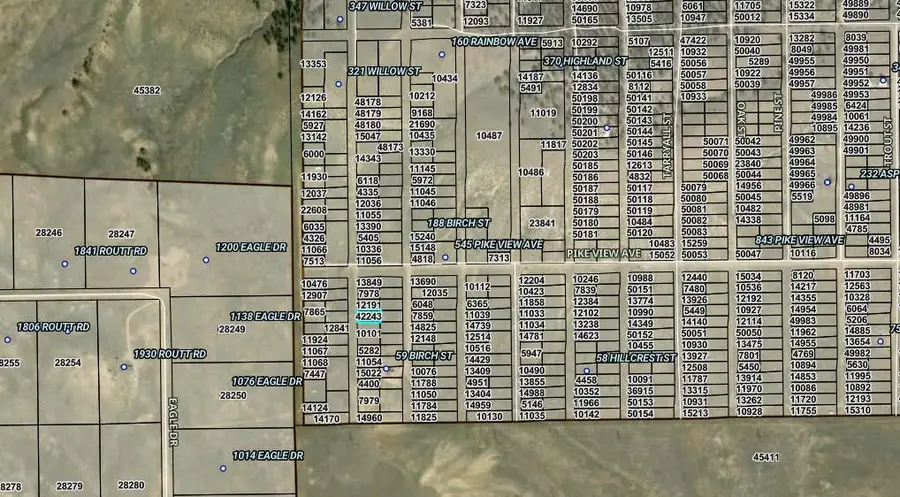 00002 Willow Street, Hartsel, CO 80449 - #3