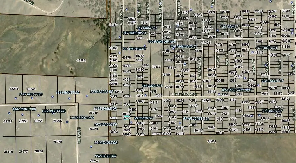 00004 Willow Street, Hartsel, CO 80449 - #1