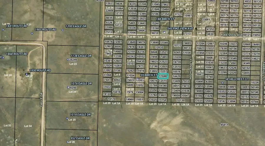 00007 Birch Street, Hartsel, CO 80449 - #2