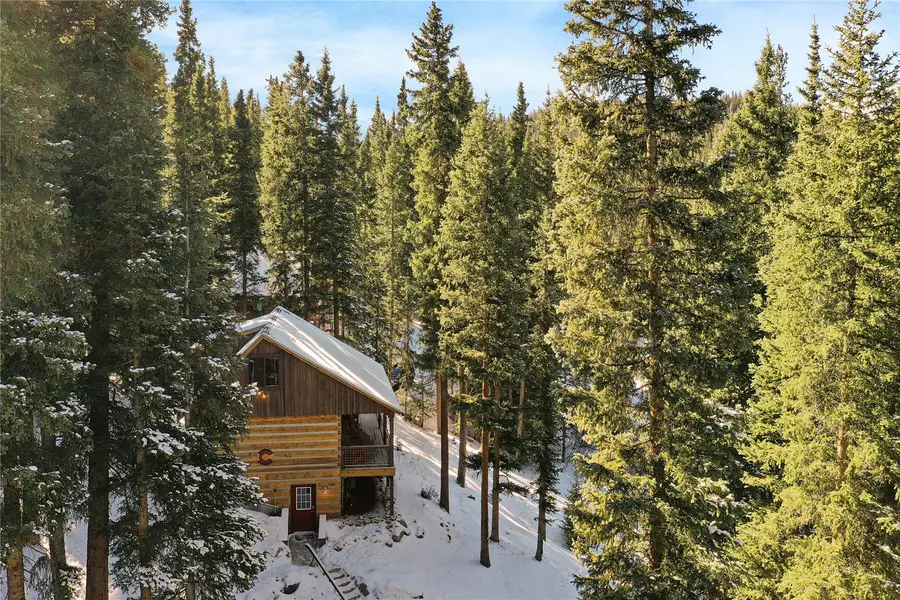 0516 County Road 674, Breckenridge, CO 80424 - #2