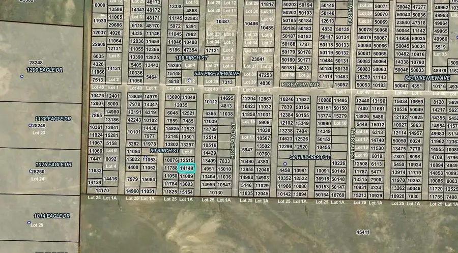 00008 Birch Street, Hartsel, CO 80449 - #3