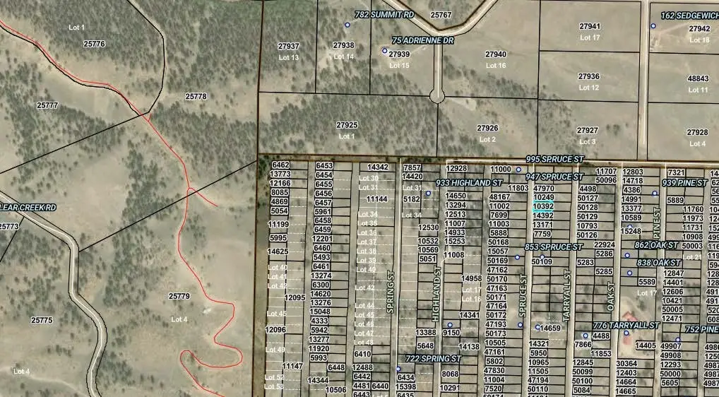 000 Spruce Street, Hartsel, CO 80449 - #1