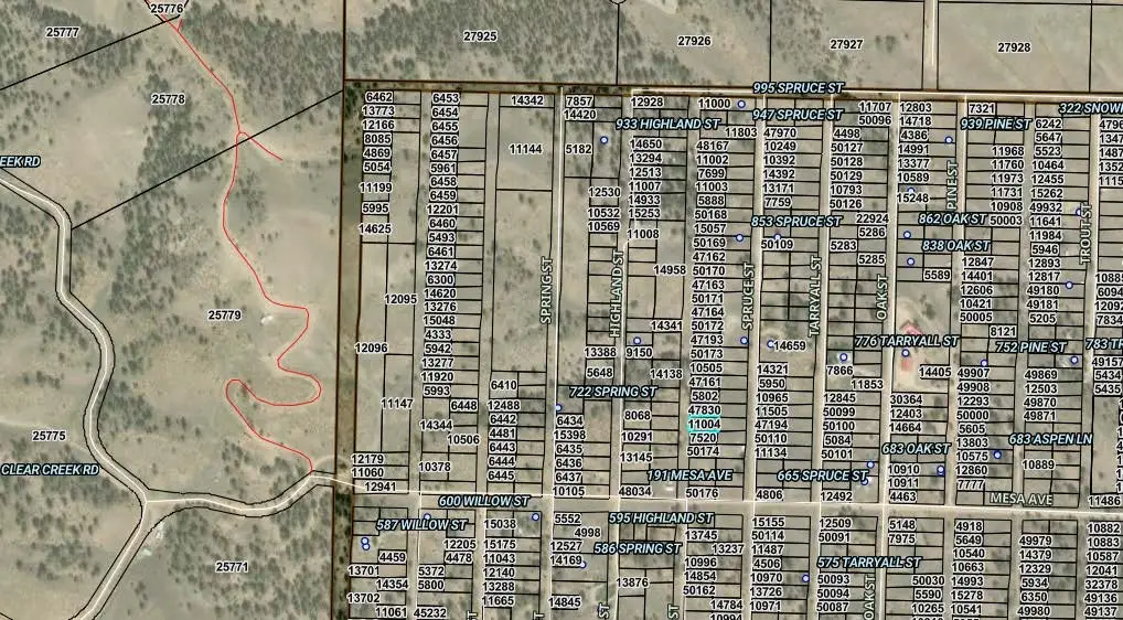 00000 Hillcrest Street, Hartsel, CO 80449 - #1