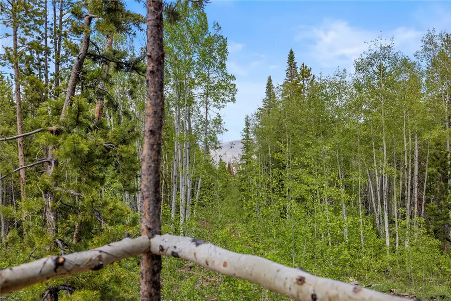 336 Blue Spruce Road, Heeney, CO 80498 - #3