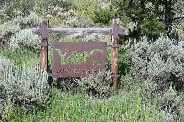 23590 Youngs Creek Way, Oak Creek, CO 80467