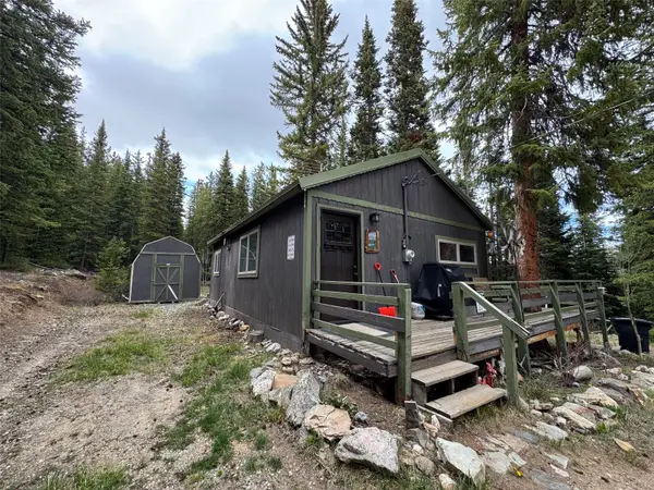 219 Ansley Avenue, Alma, CO 80440
