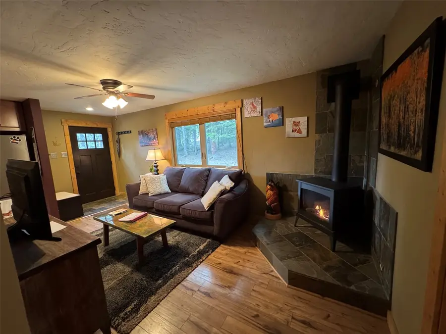 219 Ansley Avenue, Alma, CO 80440 - #3