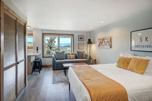 535 S Park Avenue #317, Breckenridge, CO 80424